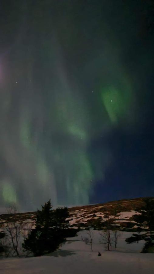 Steinhusith Hotel Holmavik Buitenkant foto